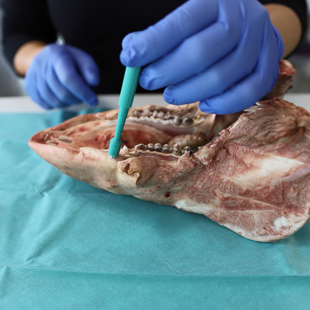 DU_dermatologie_buccale_nice_3