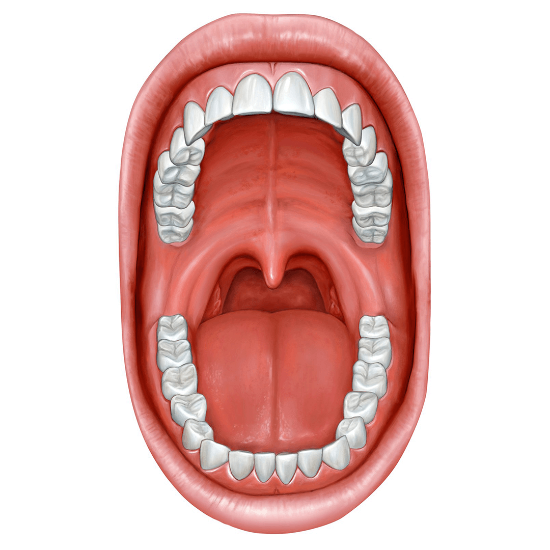DU_dermato_module4